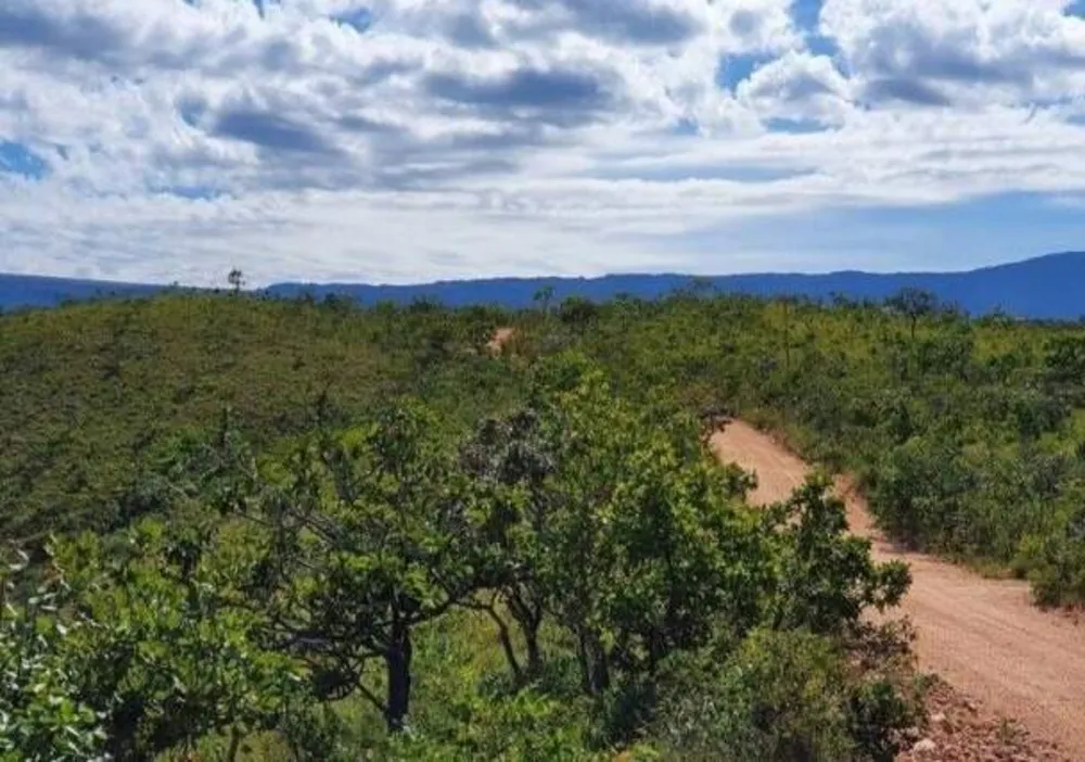 Terreno, 3 hectares - Foto 19