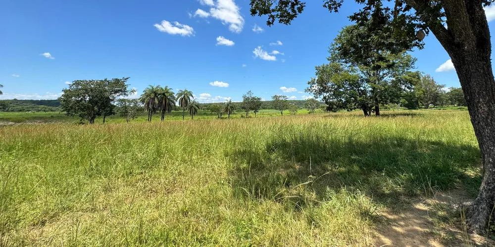 Fazenda, 712 hectares - Foto 9