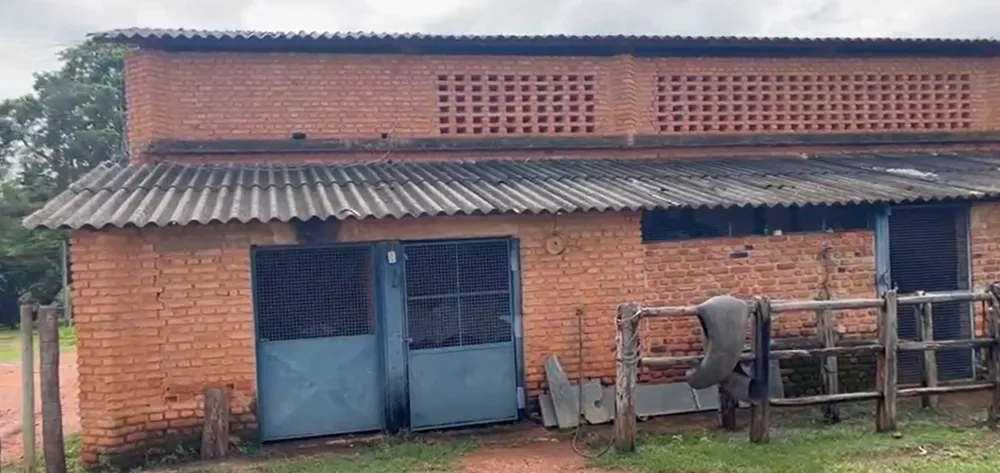Fazenda, 712 hectares - Foto 12