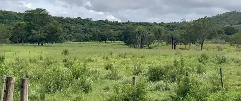Fazenda, 712 hectares - Foto 3