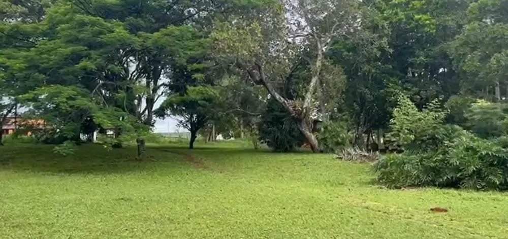 Fazenda, 712 hectares - Foto 2