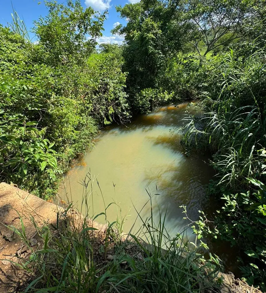 Fazenda, 712 hectares - Foto 11