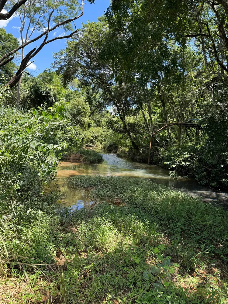 Fazenda, 712 hectares - Foto 10