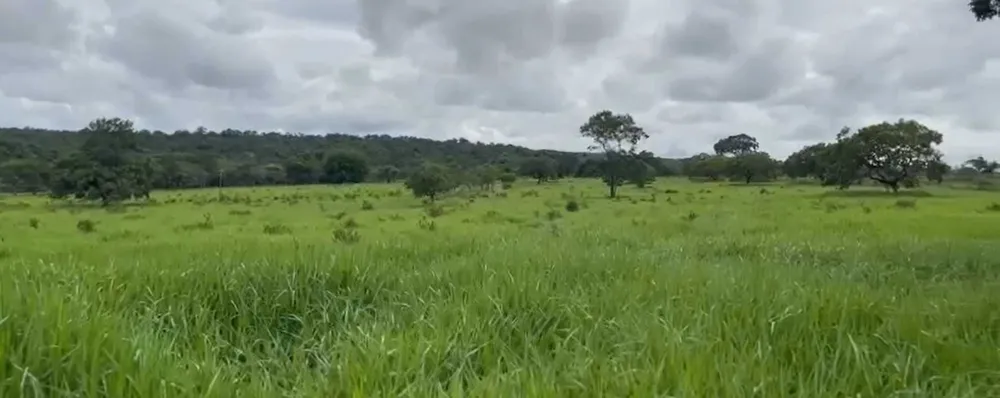 Fazenda, 712 hectares - Foto 8