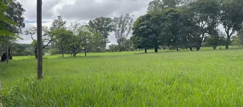 Fazenda, 712 hectares - Foto 1