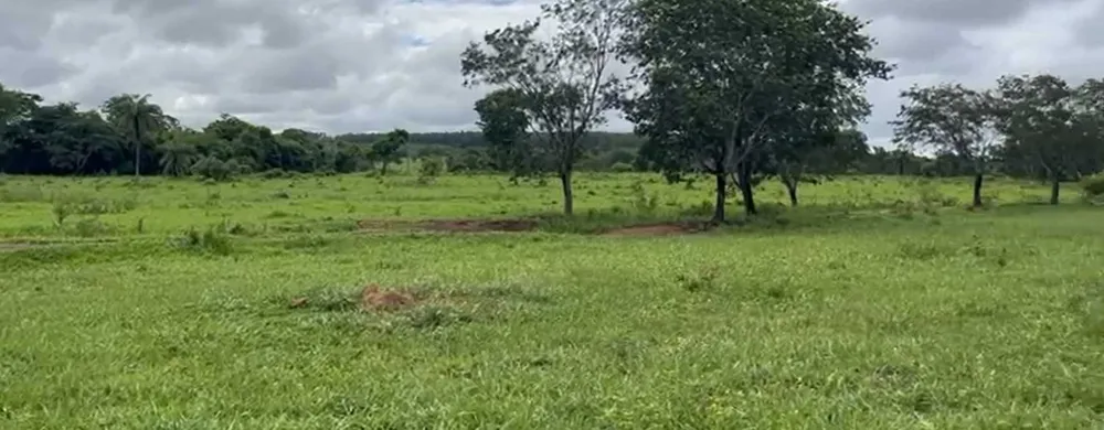 Fazenda, 712 hectares - Foto 7