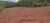Fazenda, 758 hectares - Foto 2