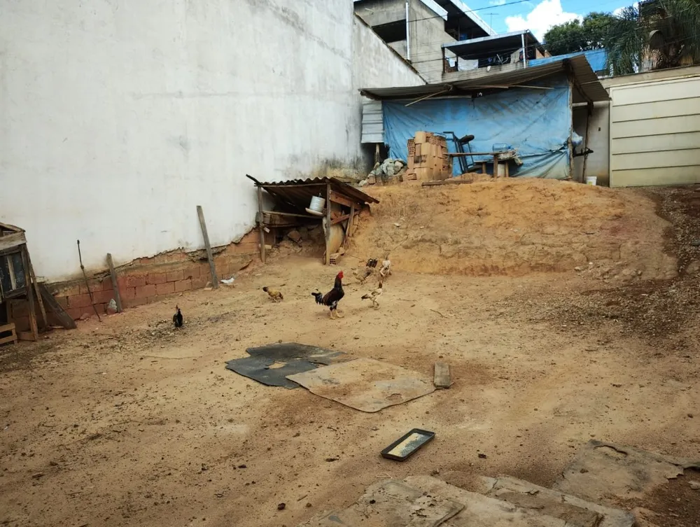 Terreno, 200 m² - Foto 7