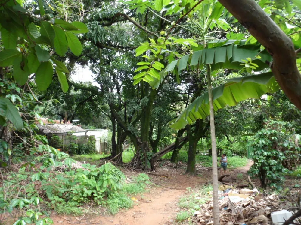 Terreno, 1880 m² - Foto 7