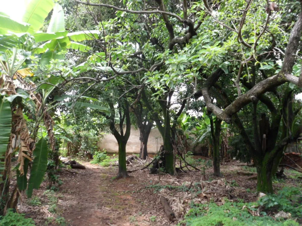 Terreno, 1880 m² - Foto 1