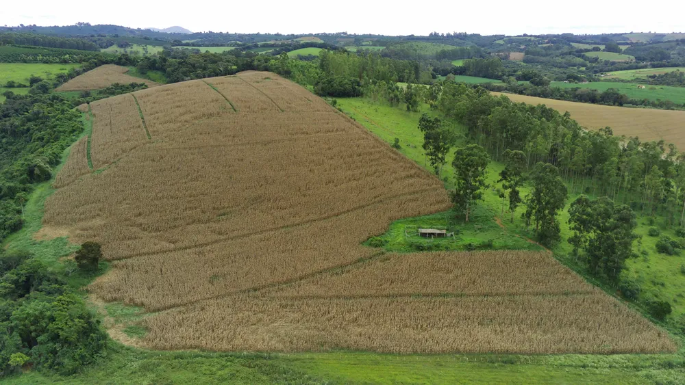 Fazenda, 58 hectares - Foto 9