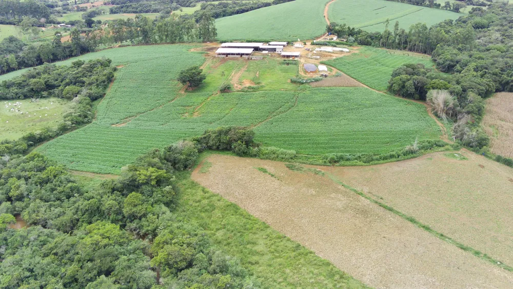 Fazenda, 58 hectares - Foto 14