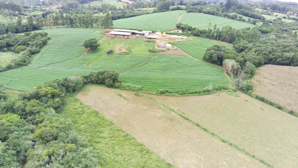 Fazenda, 58 hectares - Foto 10