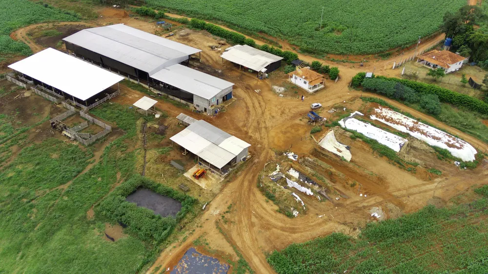 Fazenda, 58 hectares - Foto 4