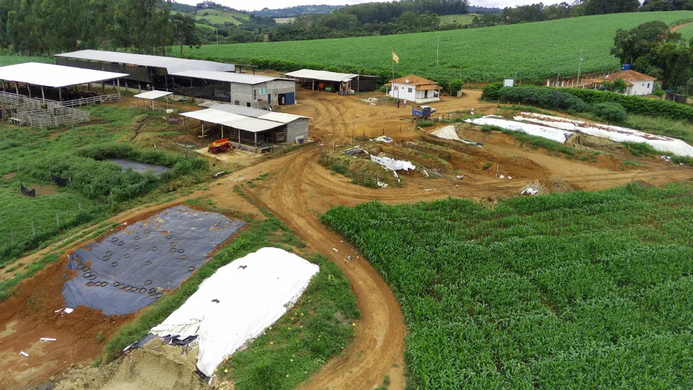Fazenda, 58 hectares - Foto 6