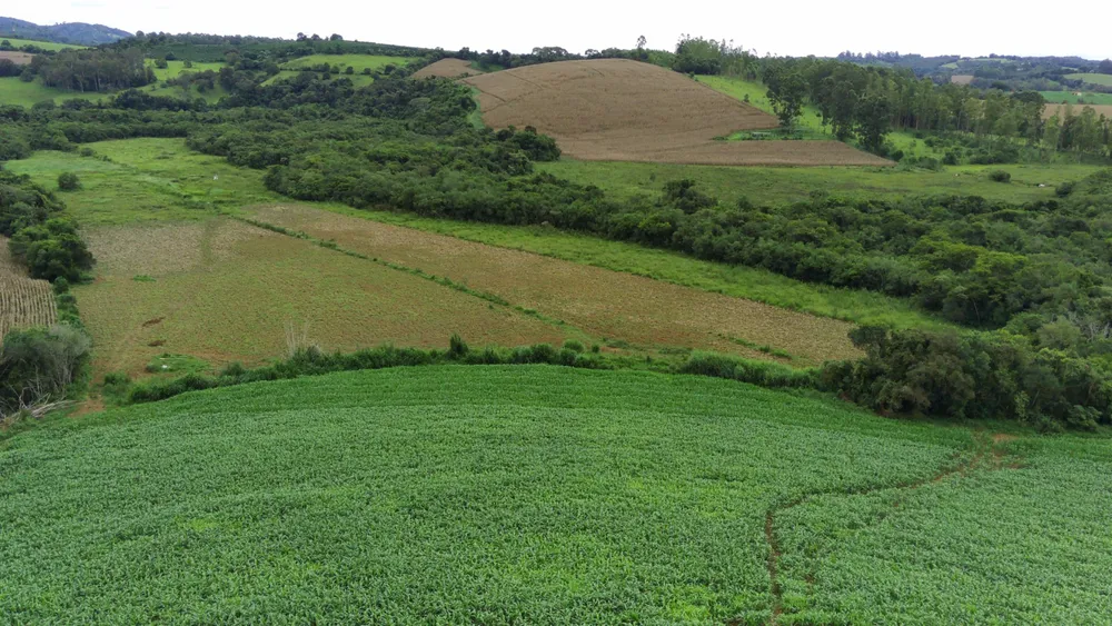 Fazenda, 58 hectares - Foto 13