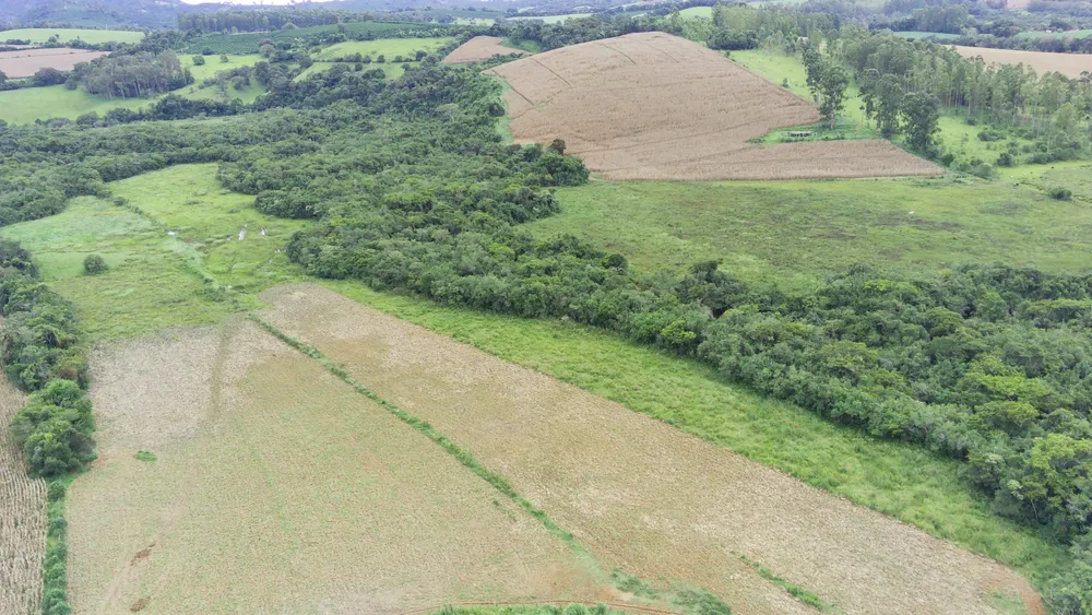 Fazenda, 58 hectares - Foto 8
