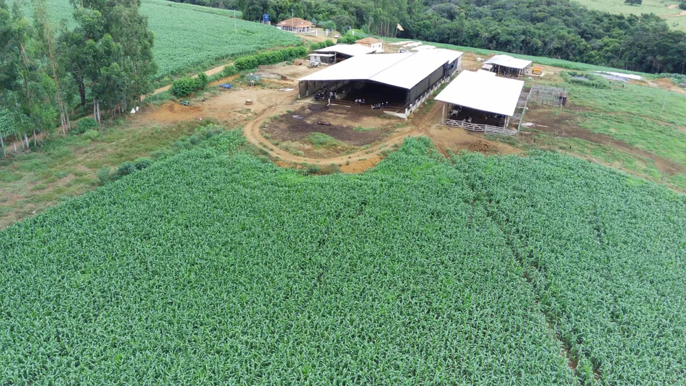 Fazenda, 58 hectares - Foto 7