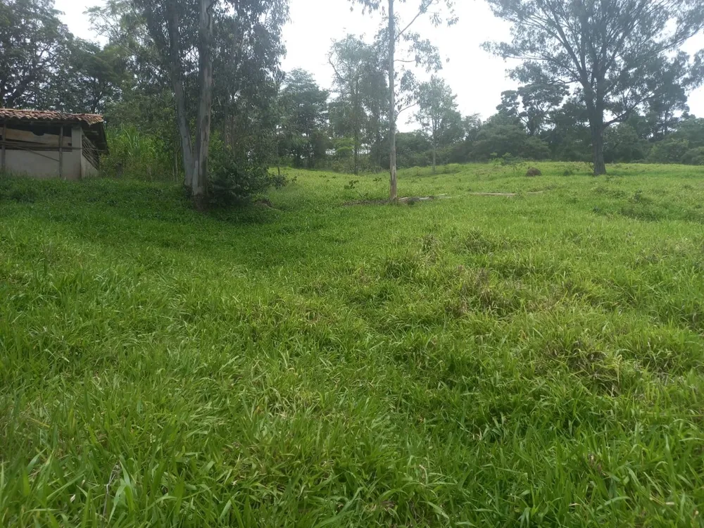 Fazenda, 3 quartos - Foto 4