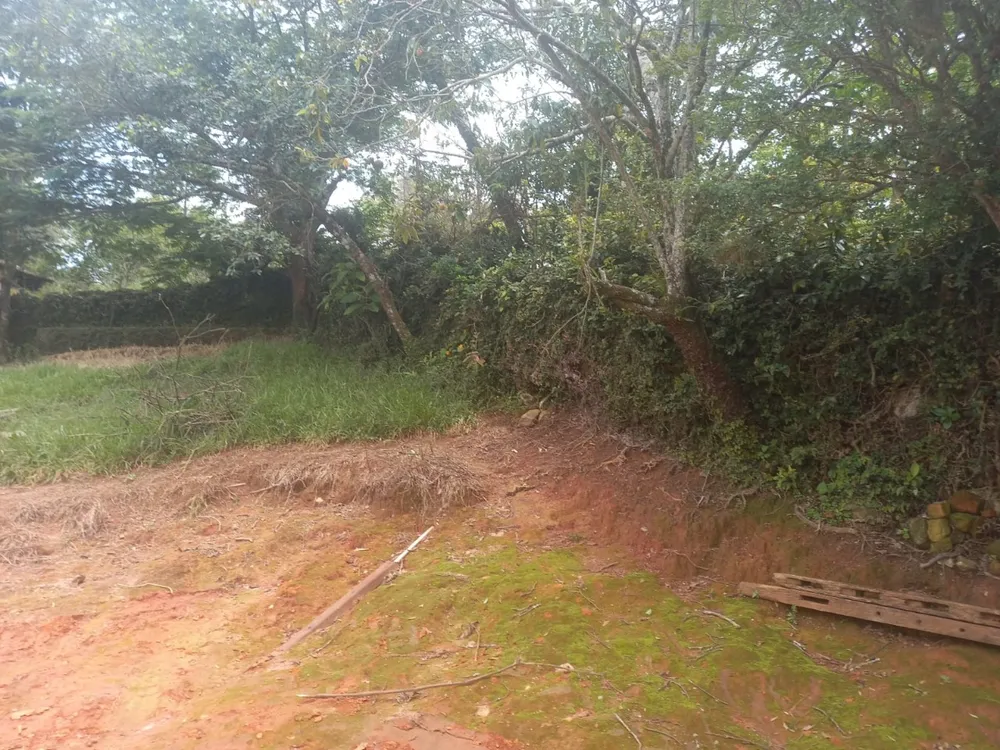 Fazenda, 3 quartos - Foto 7