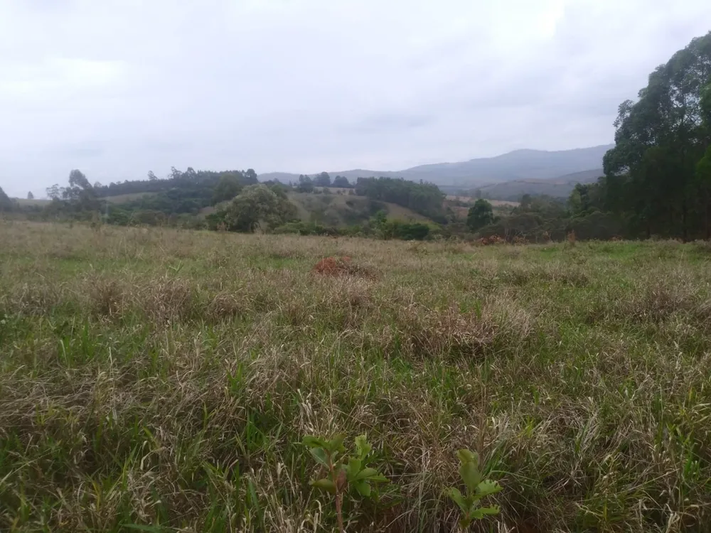 Fazenda, 3 quartos - Foto 3