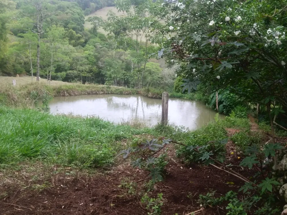 Fazenda, 3 quartos - Foto 1