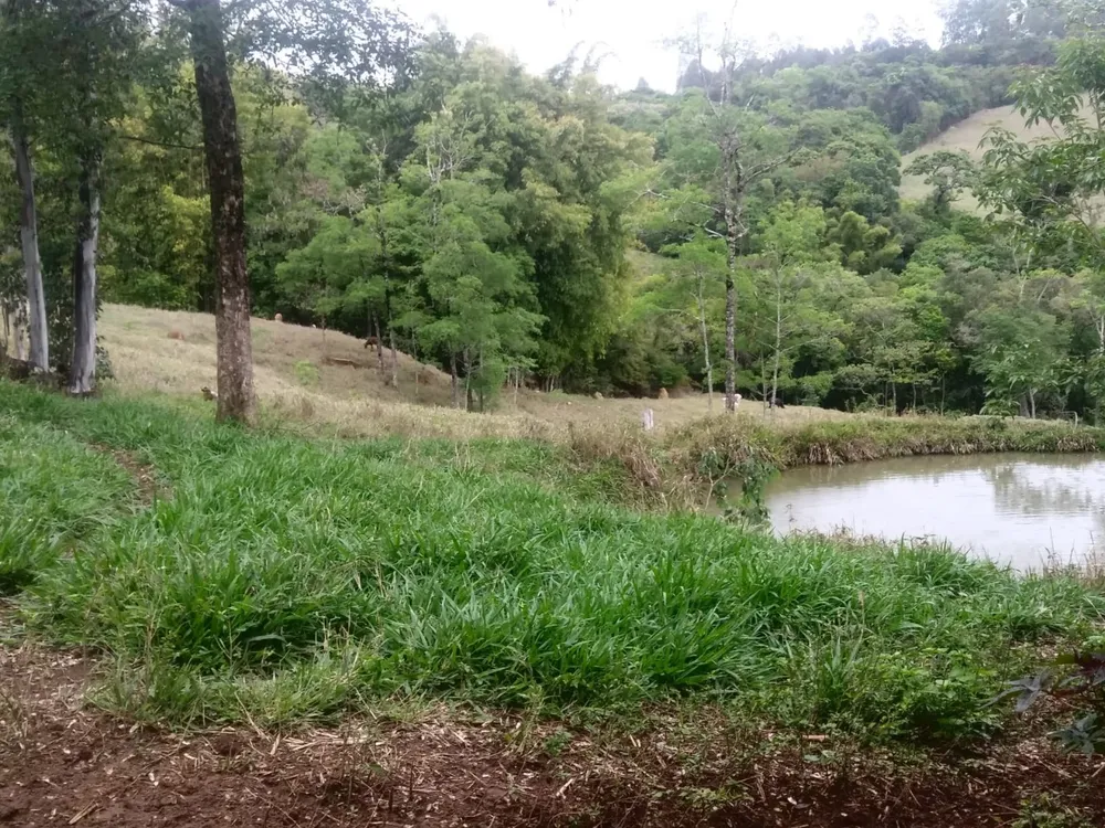 Fazenda, 3 quartos - Foto 2