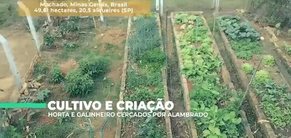 Sítio, 1 quarto, 515 m² - Foto 4