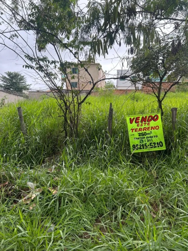Terreno, 250 m² - Foto 2