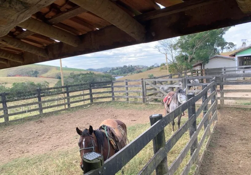 Fazenda, 153 hectares - Foto 8