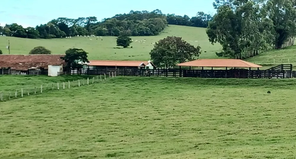 Fazenda, 153 hectares - Foto 1
