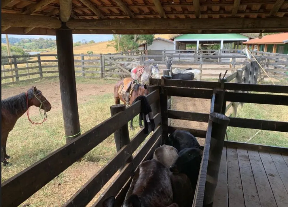 Fazenda, 153 hectares - Foto 6