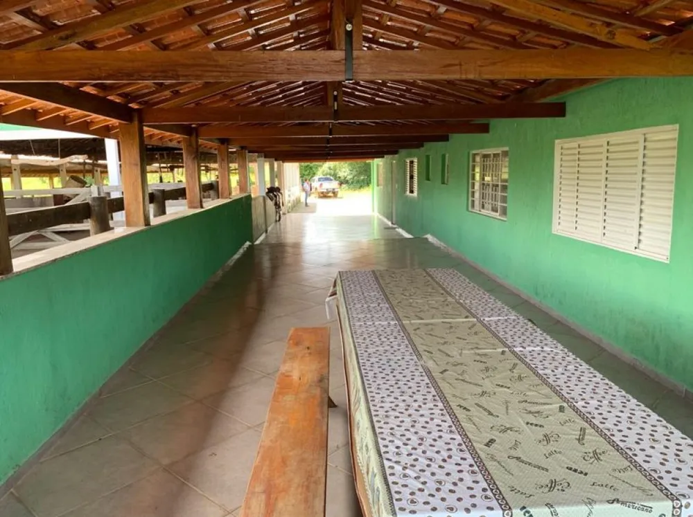 Fazenda, 153 hectares - Foto 8