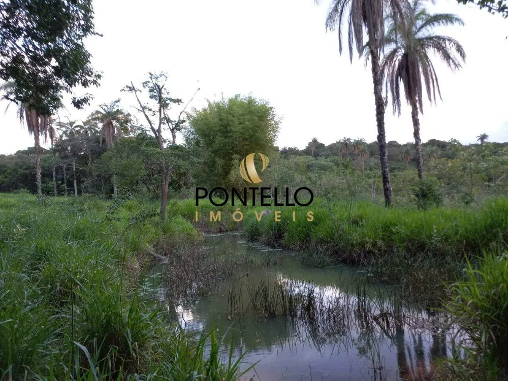 Terreno, 100000 m² - Foto 5