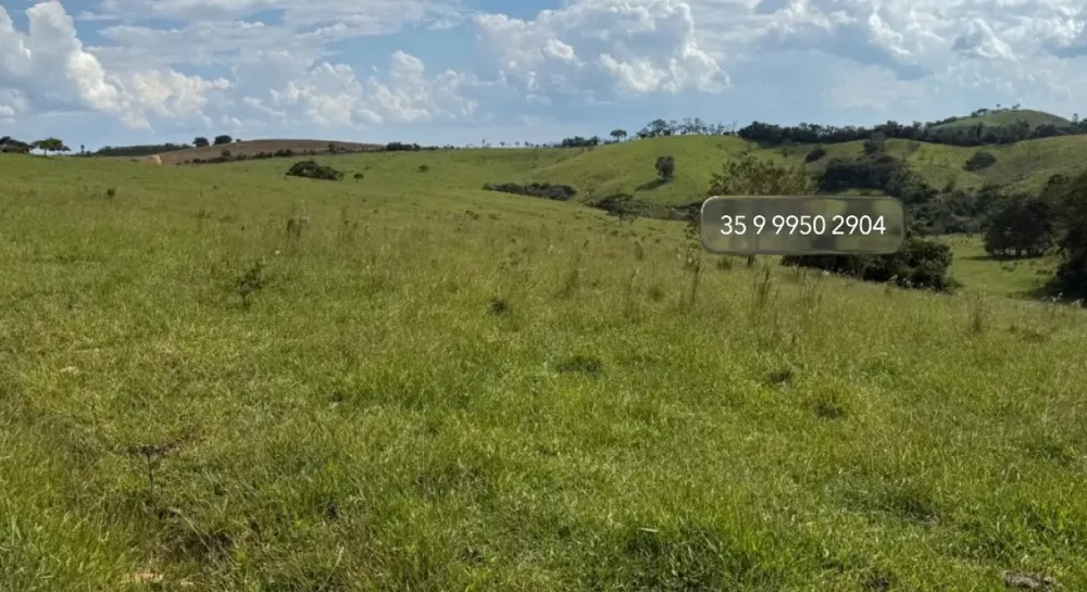 Fazenda, 58 hectares - Foto 6