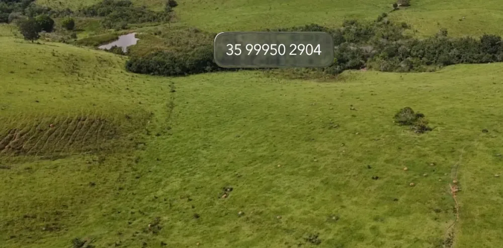 Fazenda, 58 hectares - Foto 11