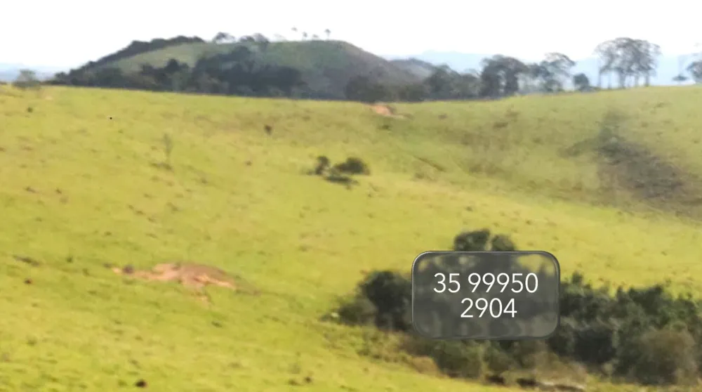 Fazenda, 58 hectares - Foto 4