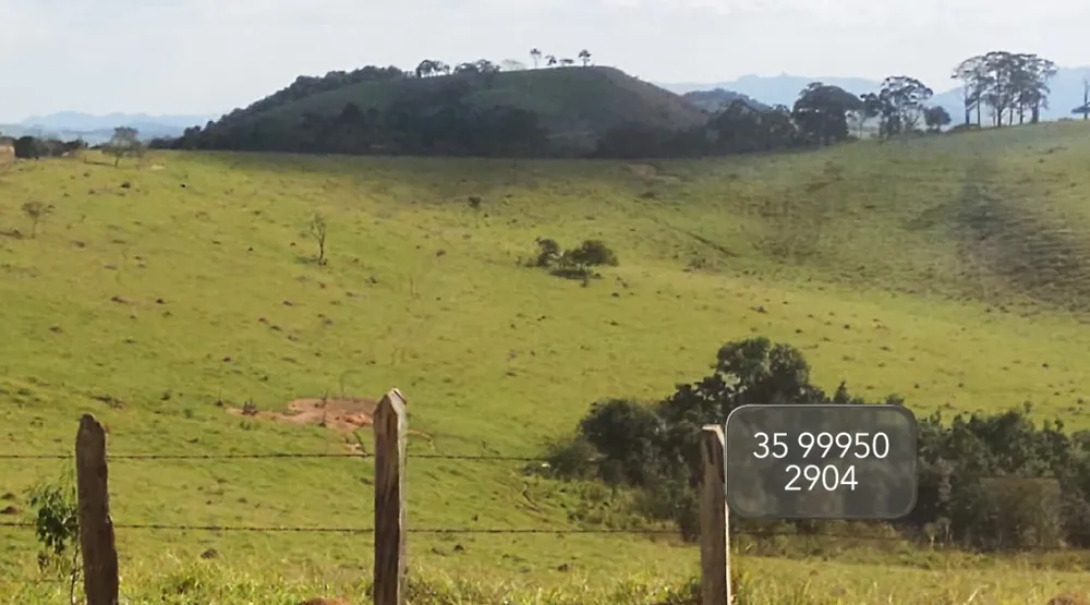 Fazenda, 58 hectares - Foto 5