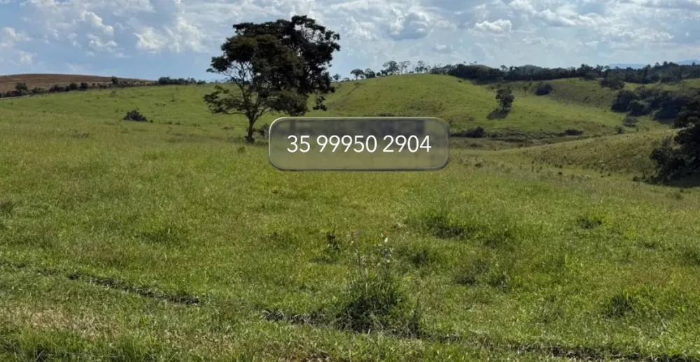 Fazenda, 58 hectares - Foto 9