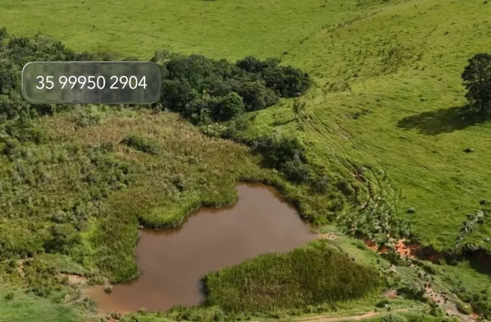 Fazenda, 58 hectares - Foto 1
