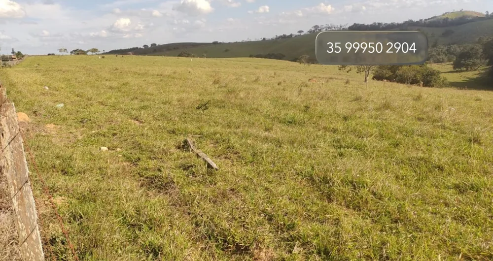 Fazenda, 58 hectares - Foto 8