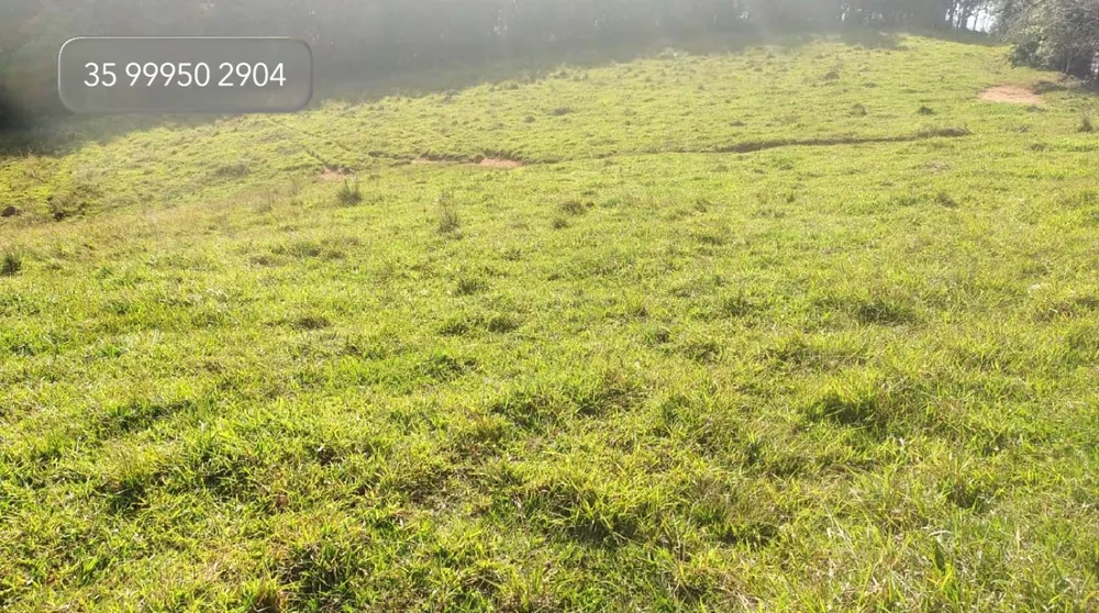 Fazenda, 58 hectares - Foto 3