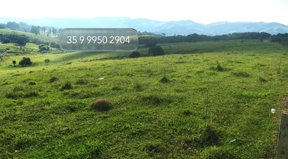 Fazenda, 58 hectares - Foto 7