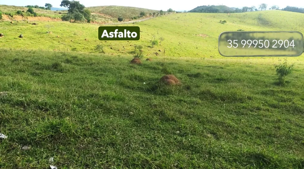 Fazenda, 58 hectares - Foto 4
