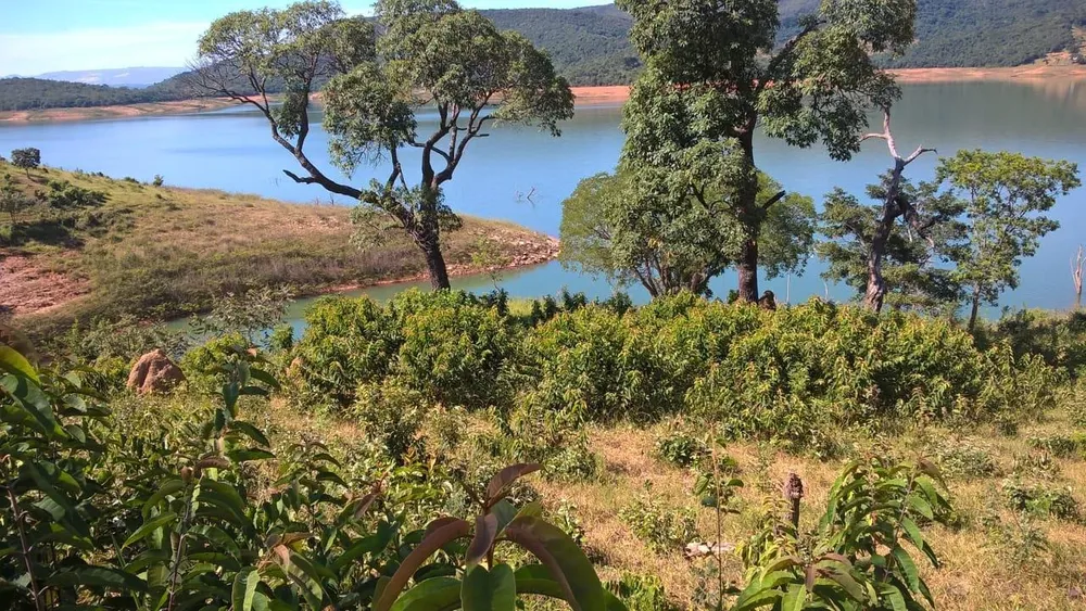 Terreno, 60000 m² - Foto 12