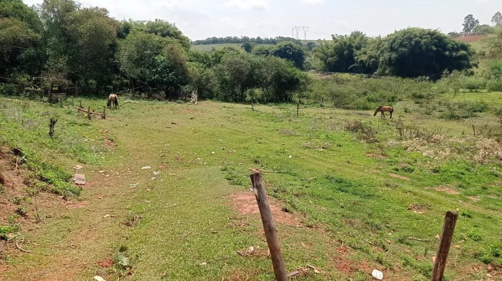 Terreno, 12800 m² - Foto 5