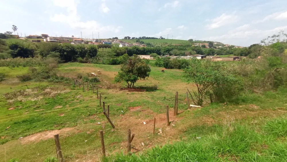 Terreno, 12800 m² - Foto 3