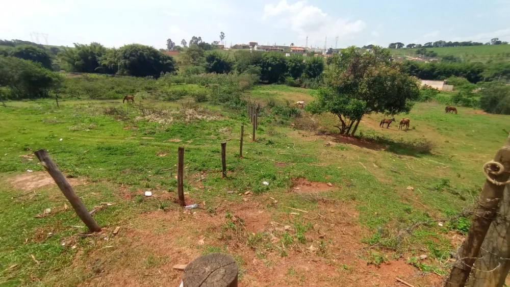 Terreno, 12800 m² - Foto 6