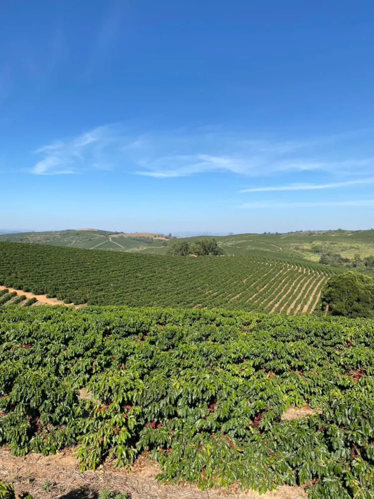 Fazenda, 166 hectares - Foto 2