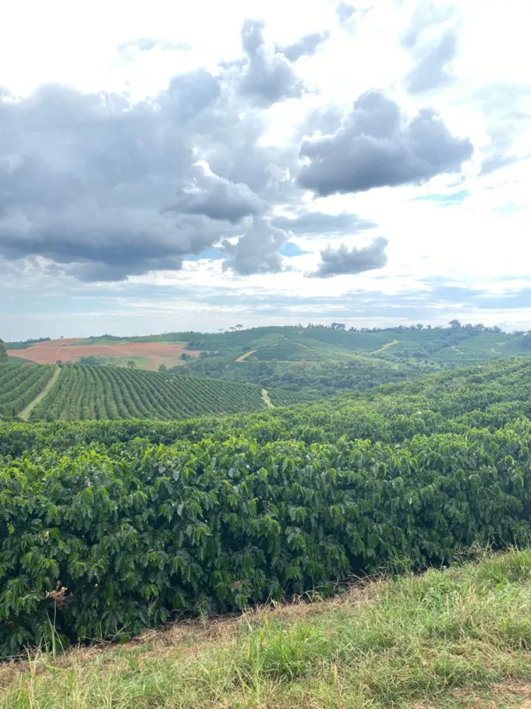 Fazenda, 166 hectares - Foto 6